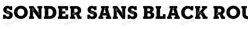 Sonder Sans Black Rough字体转换